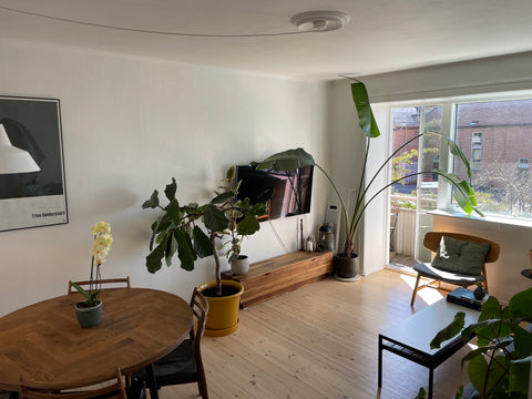 A cozy two-room apartment located at charming Nørrebro,  the hippest area in tow Denmark Cosy flat at the heart of Nørrebro, CPH Entire rental unit vacation rental 10738702