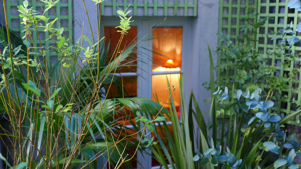 Charming separated maisonette in a garden. Duplex bedroom with 2 individual beds Paris, France Le jardin Molitor Private room in rental unit vacation rental 2159929