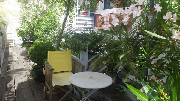 Je suis vaccinée. <br />Loft plein sud et clair avec une petite terrasse pour pr Paris, France Une chambre au vert Private room in loft vacation rental 19686439