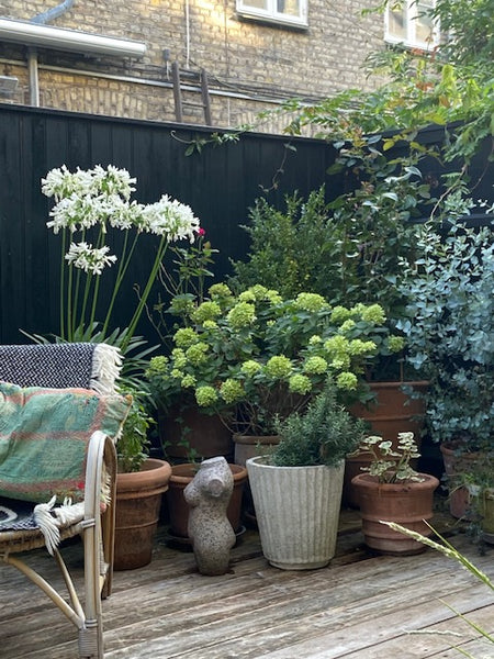 Our lovely house in the center of the city is placed in a small silence street.  Copenhagen, Denmark Lovely house - most attractive area Entire home vacation rental 26057