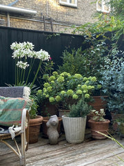 Our lovely house in the center of the city is placed in a small silence street.  Copenhagen, Denmark Lovely house - most attractive area Entire home vacation rental 26057