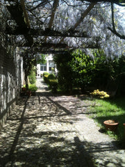 Walking distance from the museums and the Grand-Place, big house (320m2) with a  Ixelles, Belgium Big house with garden in trendy XL Entire home vacation rental 2575726