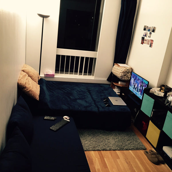 Loue du 21/6 au 21/8/2015 - Studio 20m² meublé et tout équipé . possibilité 2 a  Paris, France Appart 20m² tout équipé paris 15eme Entire rental unit vacation rental 6223592