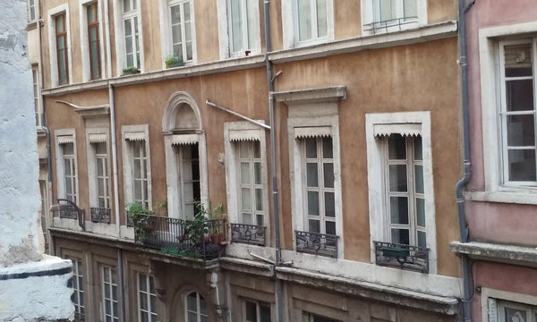 Plafonds haut, moulures, vieux plancher, sols insolites, cheminée, alcôves... au Lyon, France Grand appartement pour les lumières Entire rental unit vacation rental 9165070
