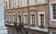 Plafonds haut, moulures, vieux plancher, sols insolites, cheminée, alcôves... au Lyon, France Grand appartement pour les lumières Entire rental unit vacation rental 9165070