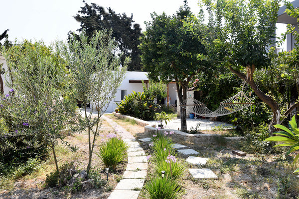 The property for rent consists of two lovely cottages set in our 2,000 m2 olive  Kos, Greece Atelie in the Olive Grove Entire home vacation rental 17344956