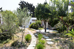 The property for rent consists of two lovely cottages set in our 2,000 m2 olive  Kos, Greece Atelie in the Olive Grove Entire home vacation rental 17344956