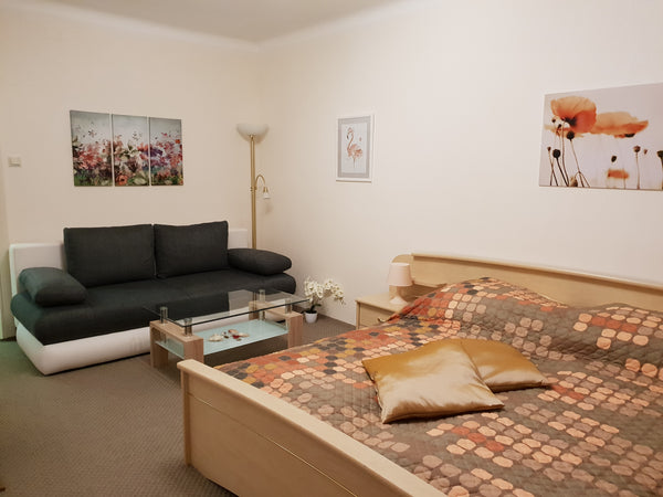 Lokated in the city heart, just step out and you are in the Magical Old Vienna.< Vienna, Austria Charming apartment  in Vienna City Heart Entire rental unit vacation rental 22576827
