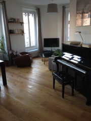 L'appartement est spacieux avec beaucoup de lumière toute la journée et très cal Lyon, France Appt 100m2 lumineux centre Lyon Entire rental unit vacation rental 9195156