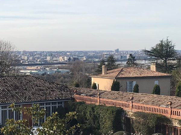 Bordeaux, France Vue panoramique sur bordeaux Entire rental unit vacation rental 41121974