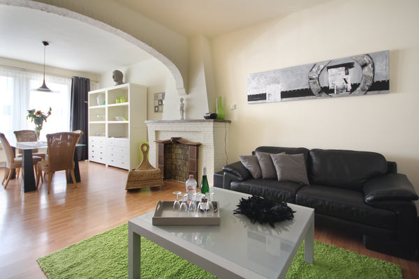 Op een boogscheut van Antwerpen bieden wij onze gezellige airbnb 