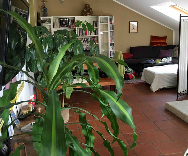 You have one room with an Balkon and a own Bathroom.<br /><br />The flat is in t Vienna, Austria Terrace time Private room in rental unit vacation rental 36253738