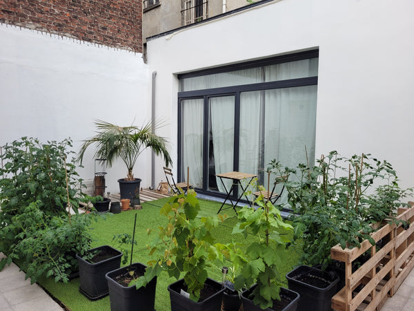 Stylish room with private bathroom to rent , in a house fully renovated with sty Geneva, Switzerland *Brand new 'LILY ROOM' Private bathroom + terrasse Private room in townhouse vacation rental 586621560820741384