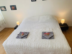 Perfectly located apartment, very close to the center and easily accessible by p  Beautiful apartment in the center of Prague!!! Entire rental unit vacation rental 31376727