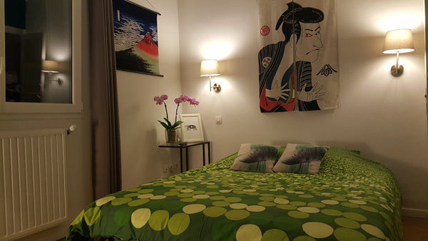 Chambre d'amis confortable et très lumineuse avec salle de bain privée, dans not Lyon, France Chambre avec salle de bain privée Private room in rental unit vacation rental 9222055