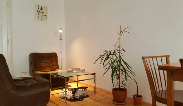 Our cosy and quiet two-room appartment is located right at the Danube channel in Vienna, Austria sunny central designer hideout Entire rental unit vacation rental 19764991