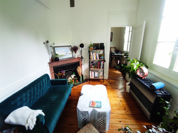 Calme et sérénité assuré dans cette maisonnette en rez de jardin et ses rosiers, Sint Maarten, Sint Maarten Maisonnette en rez de jardin avec Vue - Vieux Lyon Entire townhouse vacation rental 53671242