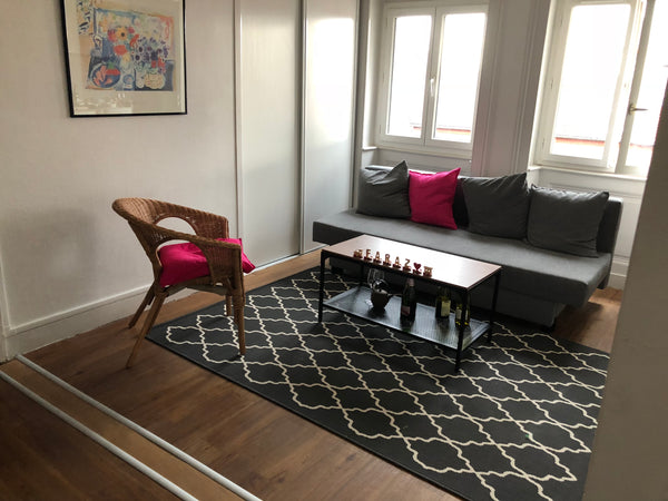 Charming 47 sq.m apartment located in Place des terreaux in 5th floor of quite a Lyon, France Apartment in Place des terreaux,Fête des lumières Entire rental unit vacation rental 21989392