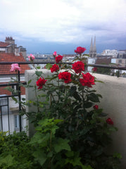 Located in the village of Jourdain, my apartment is close to Parc des Buttes Cha Paris, France Sweet studio at Jourdain Entire rental unit vacation rental 3387908
