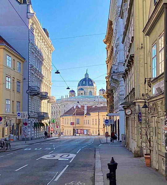 Herzlich Willkommen in unserer Wohlfühloase :-)<br />Die Altbau-Wohnung wurde fr Vienna, Austria Zentrale Wohlfühloase :-) Private room in rental unit vacation rental 19915952