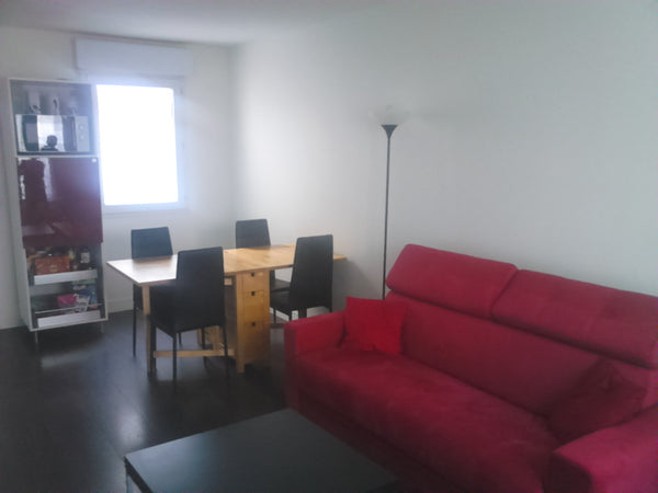 Located just a step from Montmartre and the Saint-Martin  canal, near TGV, RER a Paris, France Appt 2 pcs 45 m² near Montmartre. Entire rental unit vacation rental 16471185