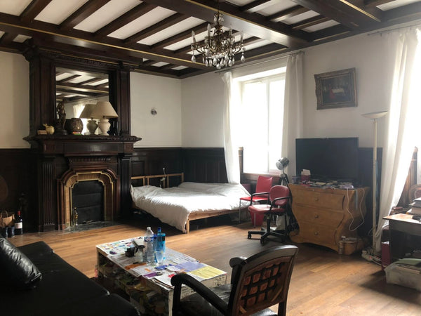 Bordeaux, France 波尔多Jardin public附近房源 Private room in guesthouse vacation rental 36295619