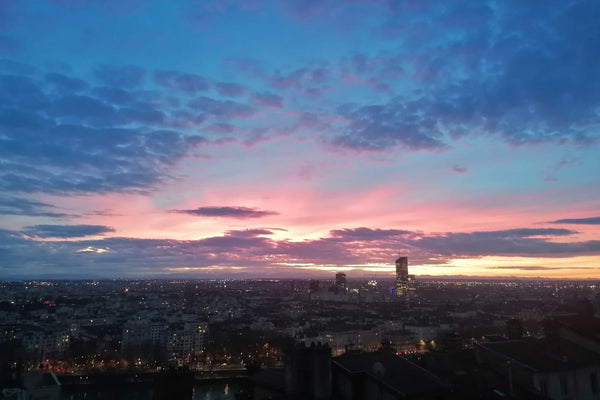 Breton d'origine, je loue mon logement, situé au cœur de la Croix-Rousse,  penda Lyon, France Logement calme et chaleureux avec vue panoramique. Entire rental unit vacation rental 596791513060391295