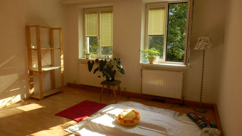 Hi! A beautiful room in the Center of Vienna is waiting for you :- ) In 15 minut Vienna, Austria 15 Minutes to SONG CONTEST Private room in rental unit vacation rental 6415507