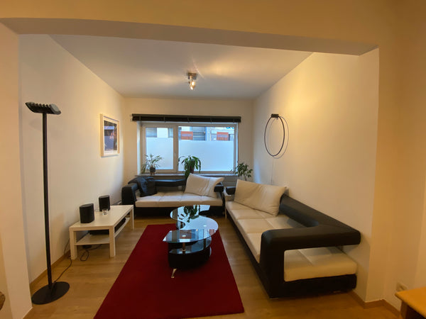 This fully equiped, cosy apartment is located in the heart of Antwerp, perfect f Antwerp, Belgium Spacious apartment in city center Entire condo vacation rental 15878210