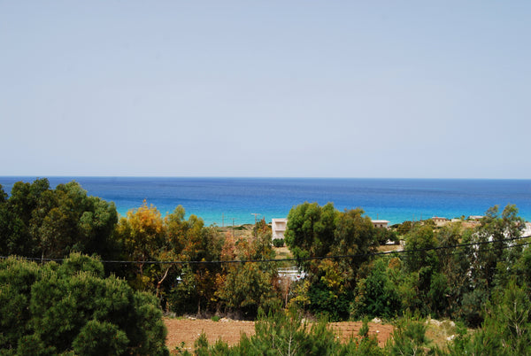 MIKRA DOMATIA 2 ATOMON   OIKONOMIKU  TIPU  ΙΟΚΟΝΟΜΙΚΑ  ΔΟΜΑΤΙΑ   2 ΑΤΟΜΟΝ Private room in bed and breakfast vacation rental 27646407