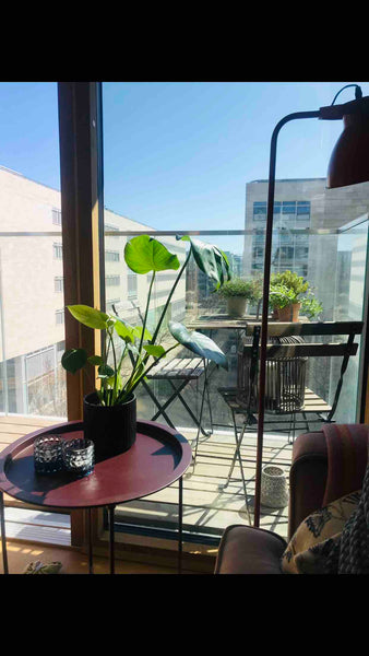 Lille hyggelig 64 kwm. Lejlighed på 4 sal med god udsigt. Elevator og altan lyst Copenhagen, Denmark Islands Brygge Home Entire condo vacation rental 32443565