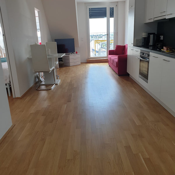 Vergiss deine Sorgen – in dieser geräumigen und ruhigen Unterkunft.  Schöne wohnung mit Terrasse Entire rental unit vacation rental 673840487594500535