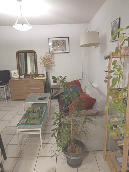 Bonjour <br /><br />Nous louons notre appartement situé dans le 7ème arrondissem Solignac-sous-Roche, France Location appartement - Lumières Entire rental unit vacation rental 770341994660076031