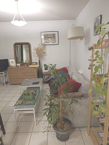 Bonjour <br /><br />Nous louons notre appartement situé dans le 7ème arrondissem Solignac-sous-Roche, France Location appartement - Lumières Entire rental unit vacation rental 770341994660076031