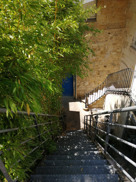 Dans une authentique échoppe bordelaise, aux murs en pierres et haut plafond, ce Nîmes, France Chambre privative tout confort dans Bordeaux Private room in rental unit vacation rental 37343537