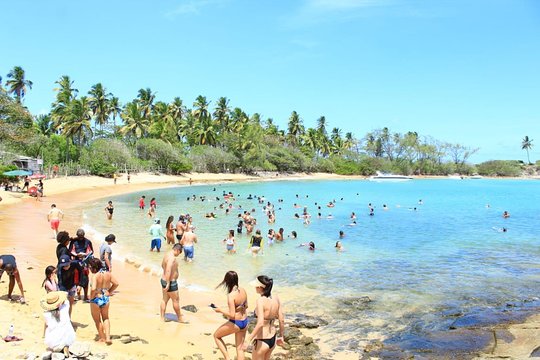 Santo Aleixo Island Tour from Maragogi by Top Tours  Private Tours and Travel Guide America Maceio CITY Maragogi Destination Tour