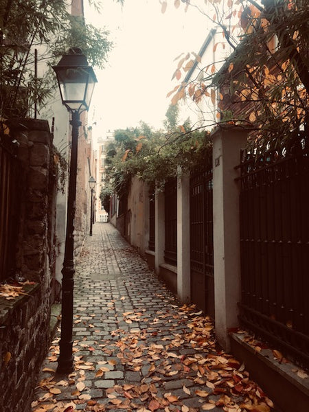 Un appartement cozy de 27m2 situé dans le quartier du Haut-Belleville, l'un des  Paris, France Appartement cozy dans un joli passage du 20e Entire rental unit vacation rental 24056143