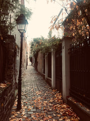 Un appartement cozy de 27m2 situé dans le quartier du Haut-Belleville, l'un des  Paris, France Appartement cozy dans un joli passage du 20e Entire rental unit vacation rental 24056143