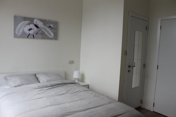 Belle chambre meublée dans une maison bruxelloise unifamiliale entièrement rénov Brussels, Belgium Belle chambre au coeur de l'UE #2 Private room in guesthouse vacation rental 26578430