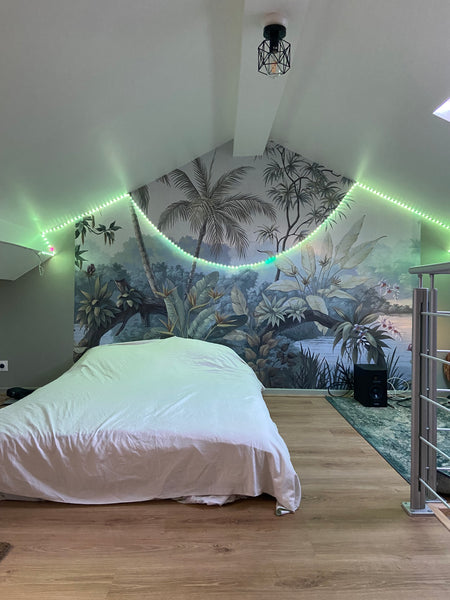 Oubliez vos soucis dans ce logement spacieux et serein sans vis à vis. Parfait p Lyon, France Lyon : appartement style loft verdoyant Entire rental unit vacation rental 680454297907111448