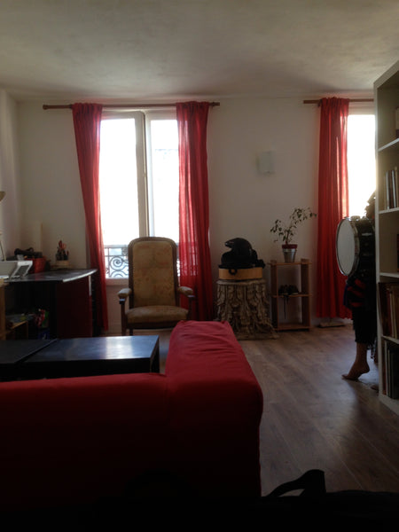 Studio agréable dans un passage, au coeur d'un quartier central et animé de Pari  Studio agréable dans un passage, au coeur de Paris Entire rental unit vacation rental 6860042