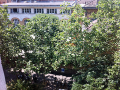 A real home in the heart of Haut Marais, a lively, fashionable, yet peaceful nei Paris, France family apartment Paris 75003 Marais Entire rental unit vacation rental 1329663