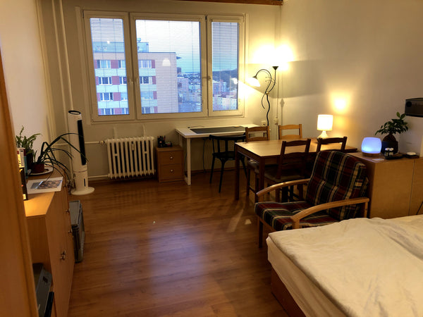 1 bedroom apartment with bathroom + toilet and separated kitchen room / entryway South Bohemian Region, Czechia 1 bedroom apartment for long stay - Fall 22 Entire rental unit vacation rental 654332710758816354