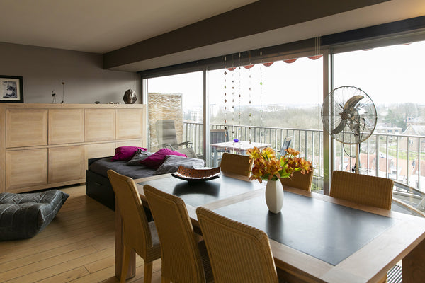 Appartement d'exception<br />Situation idéale entre ville et forêt,  vue imprena  Splendide  et spacieux appartement  lumineux Entire rental unit vacation rental 579463913562709691