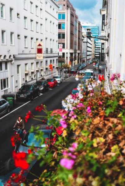 The Bella Licia is a magnificent flat in the heart of Brussels. Its design has b  Bella Licia Entire rental unit vacation rental 51282255