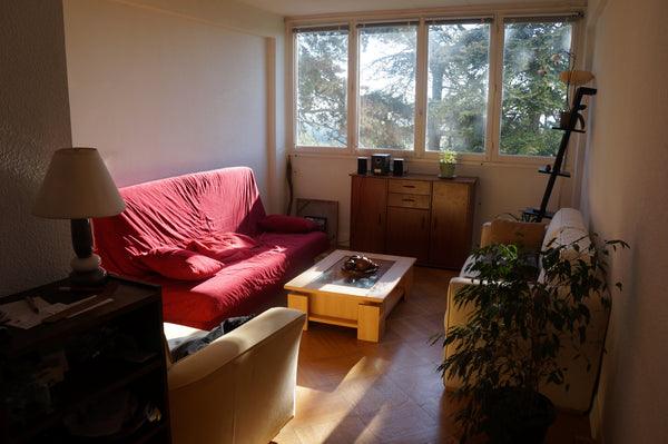 En coloc depuis quelques mois, nous mettons à disposition notre appartement pouv Lyon, France Aprt calme, confortable 4 à 6pers Entire rental unit vacation rental 12510544