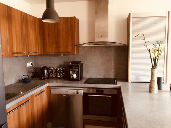 Chambre privée dans un bel appartement de Lyon 7ème. Calme et lumineux. <br />L' Lyon, France Chambre privée Lyon 7ème calme et lumineuse Private room in rental unit vacation rental 36373167