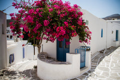 Familly traditional Greek house, ideal destination for holidays. Strategic locat Attica region, Greece The Bougainvillaea corner house in Lefkes Cycladic home vacation rental 14834275