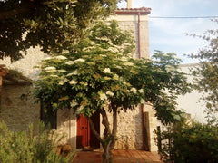 November offers!<br />At the foot of Psiloritis mountain with amazing view, five Crete Region, Greece Cretan Guest House "Agioklima" Voutes Heraklion Entire guesthouse vacation rental 10557099