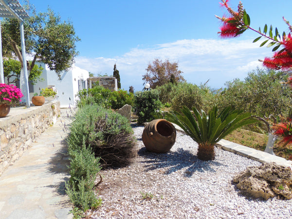 Apostolis Windmill is a traditional hotel of studios and apartments in Mykonos,  Greece Apostolis Windmill traditional Apartments Entire rental unit vacation rental 13742963